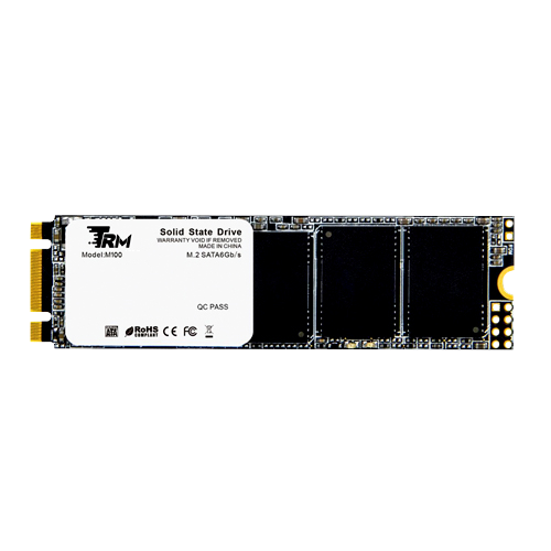 Ổ cứng SSD TRM S100